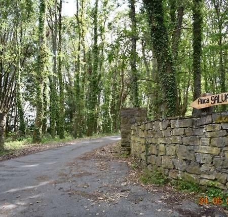 Finca Salvador Baralla Εξωτερικό φωτογραφία
