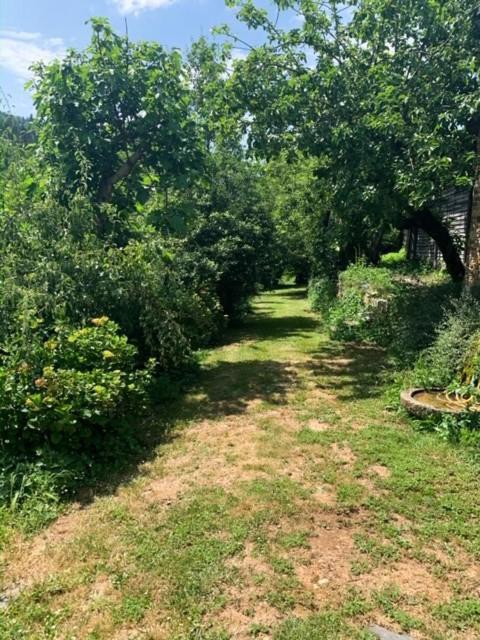 Finca Salvador Baralla Εξωτερικό φωτογραφία
