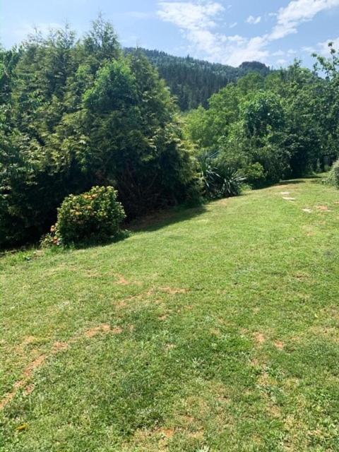 Finca Salvador Baralla Εξωτερικό φωτογραφία